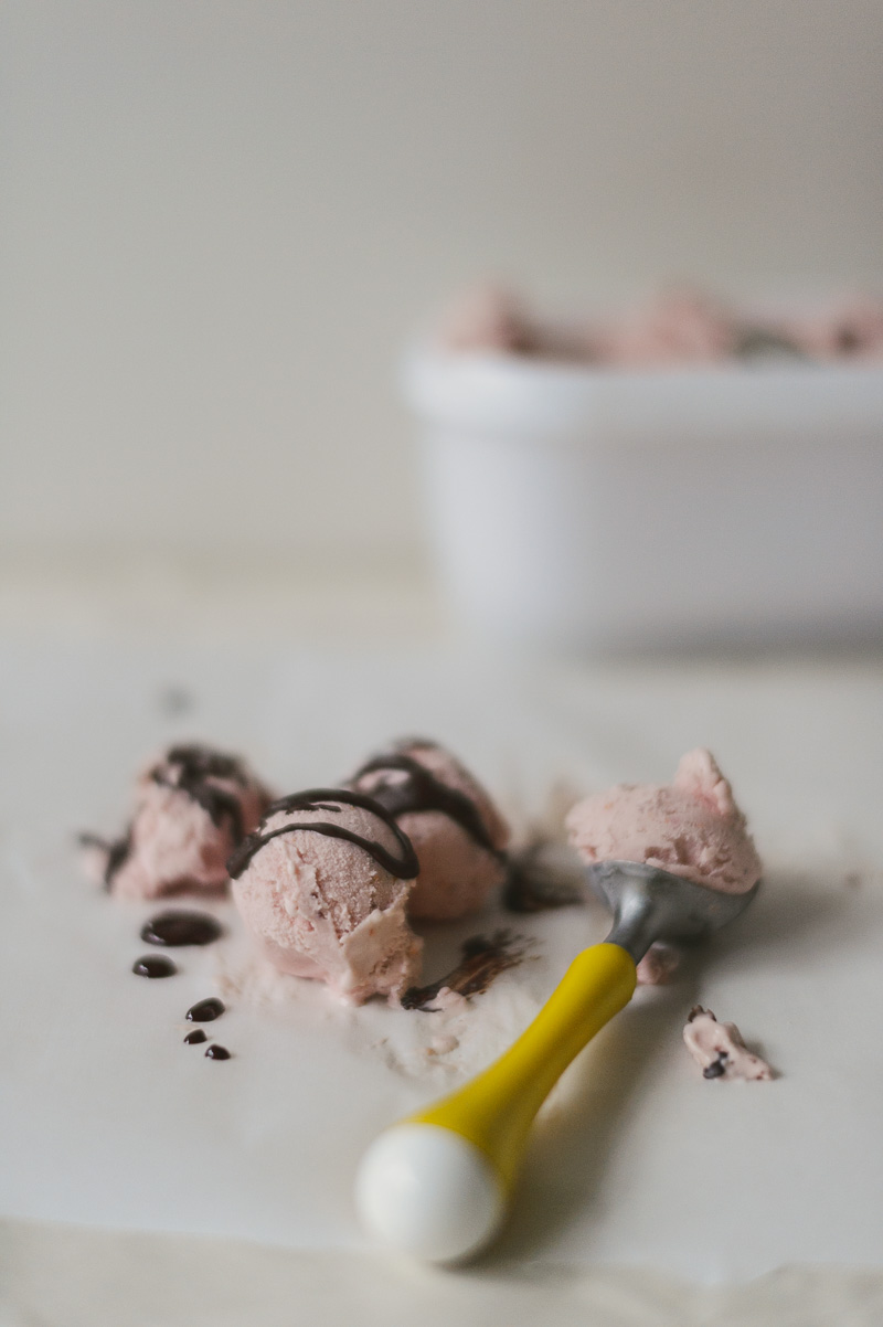 cranberry ice cream-10