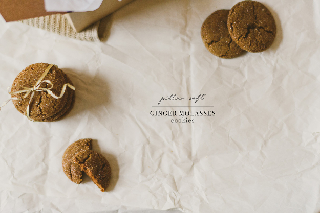 Ginger Molasses Cookie -7 copy