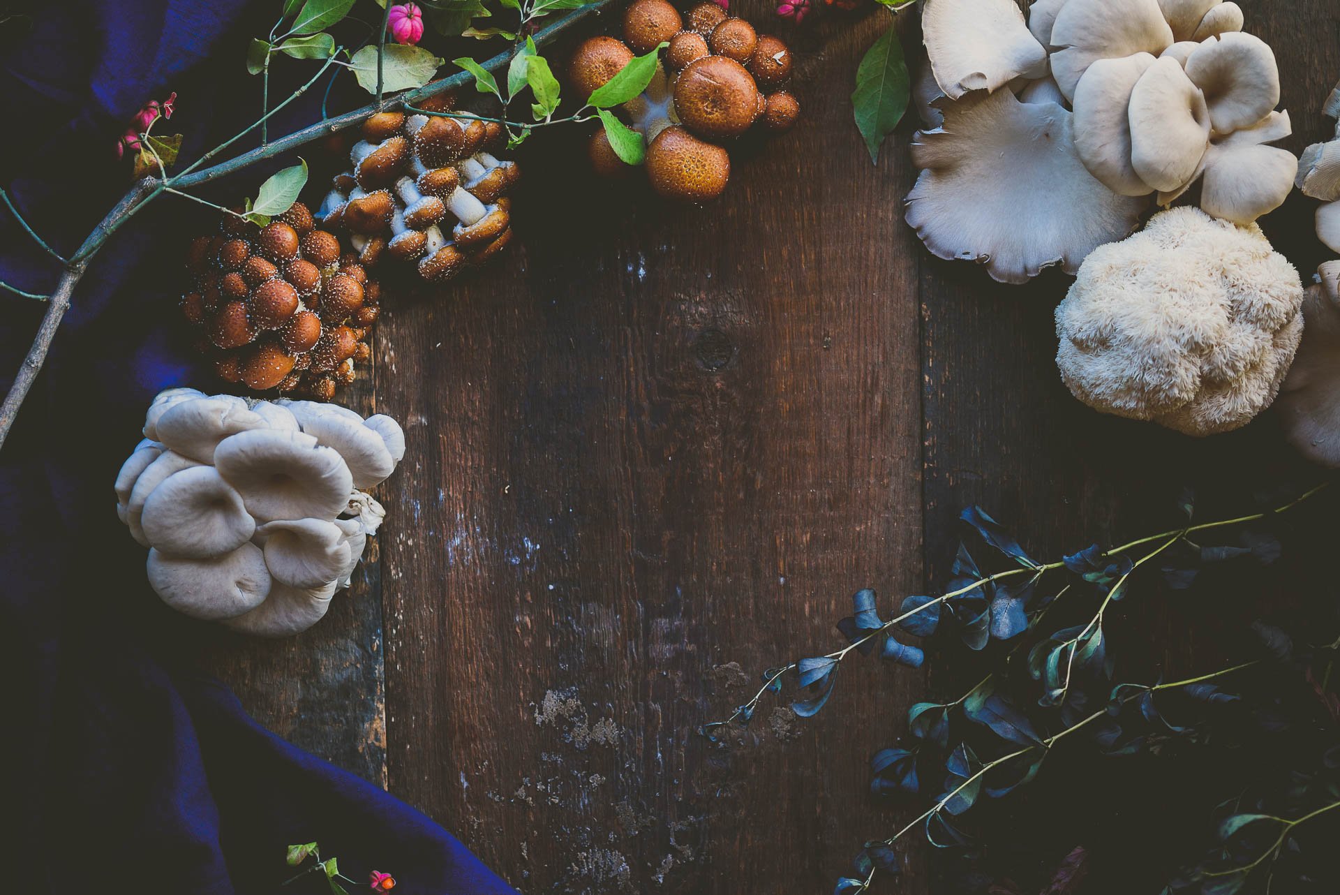 Table Sharing Workshop - Food Photography and Styling