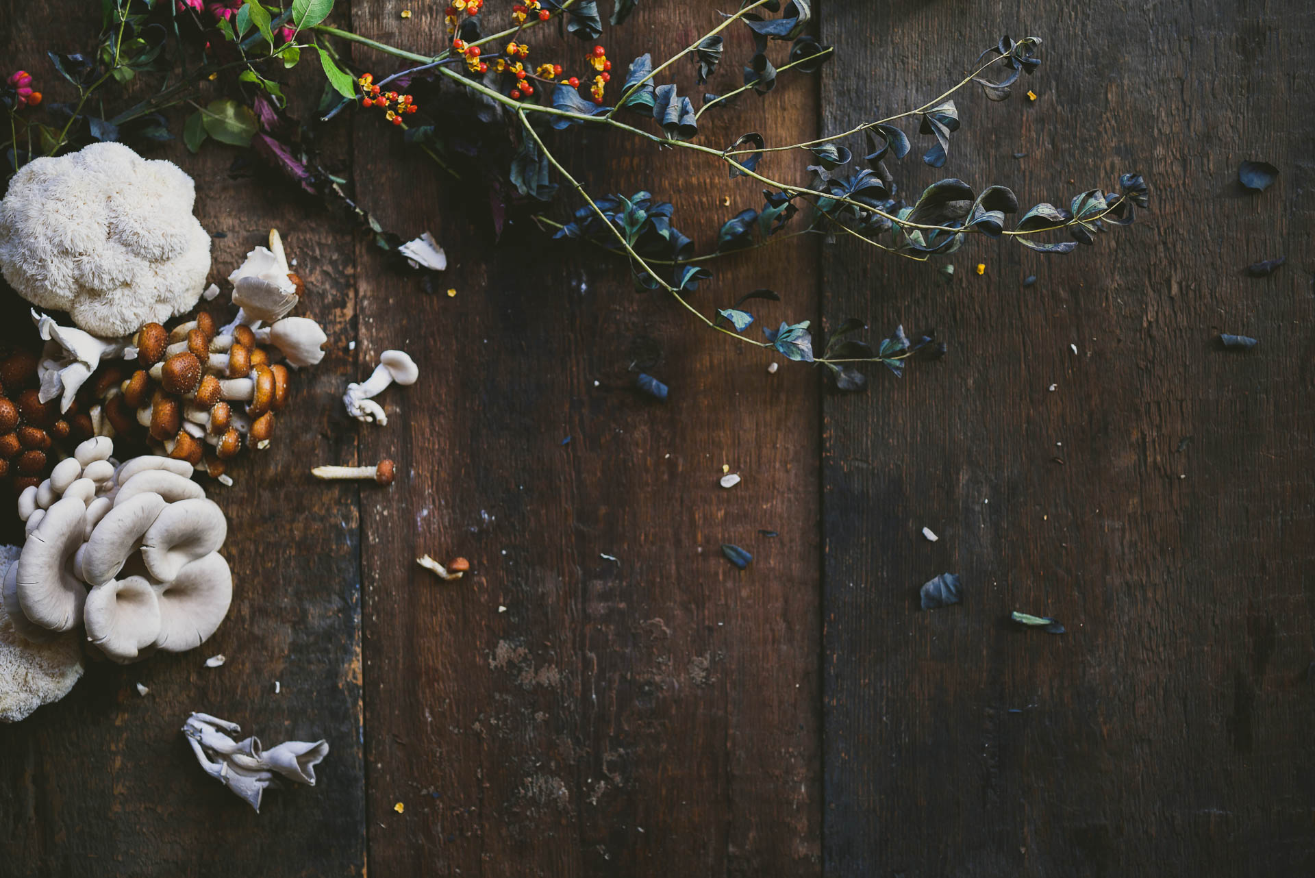 Table Sharing Workshop - Food Photography and Styling