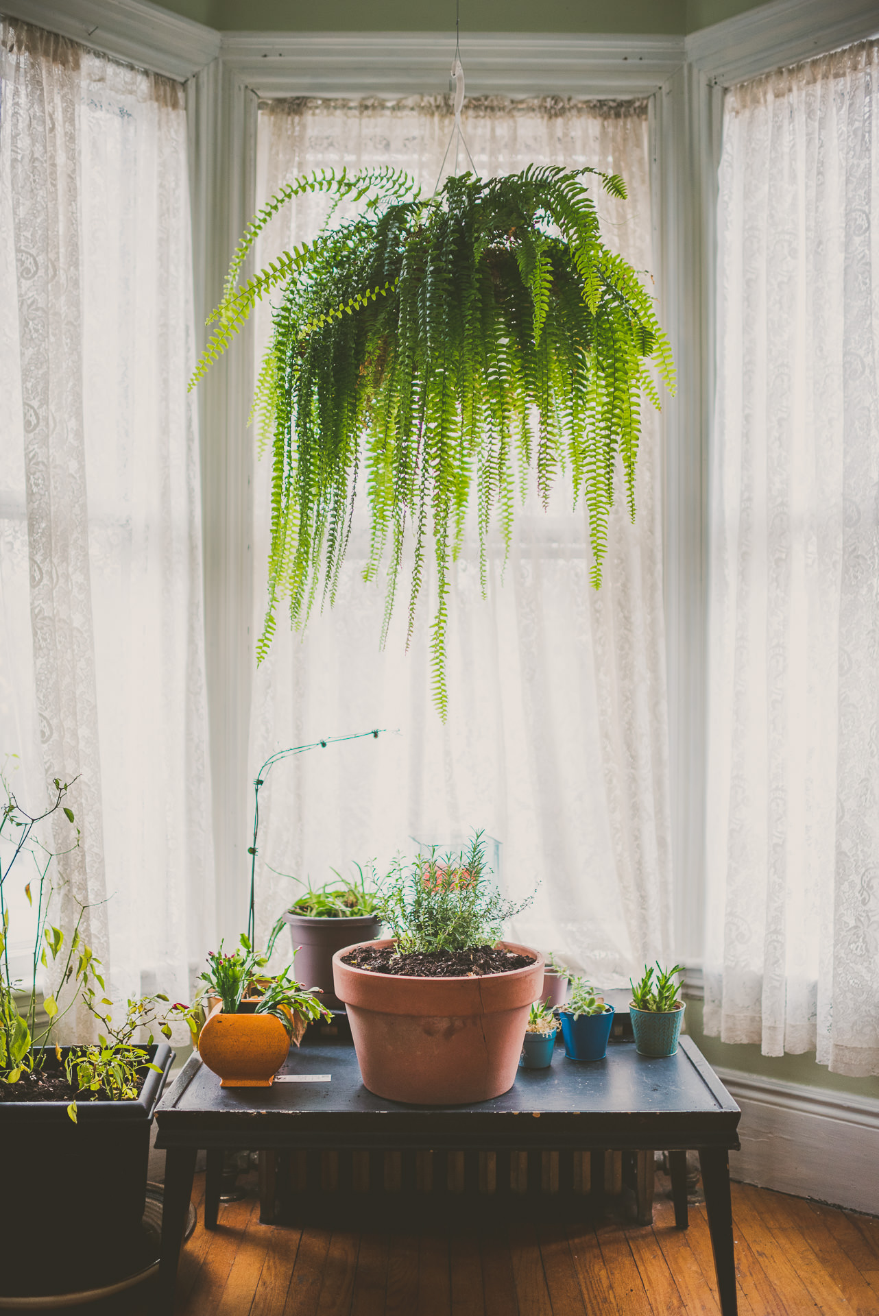 Portland, Maine Delights | bettysliu -18