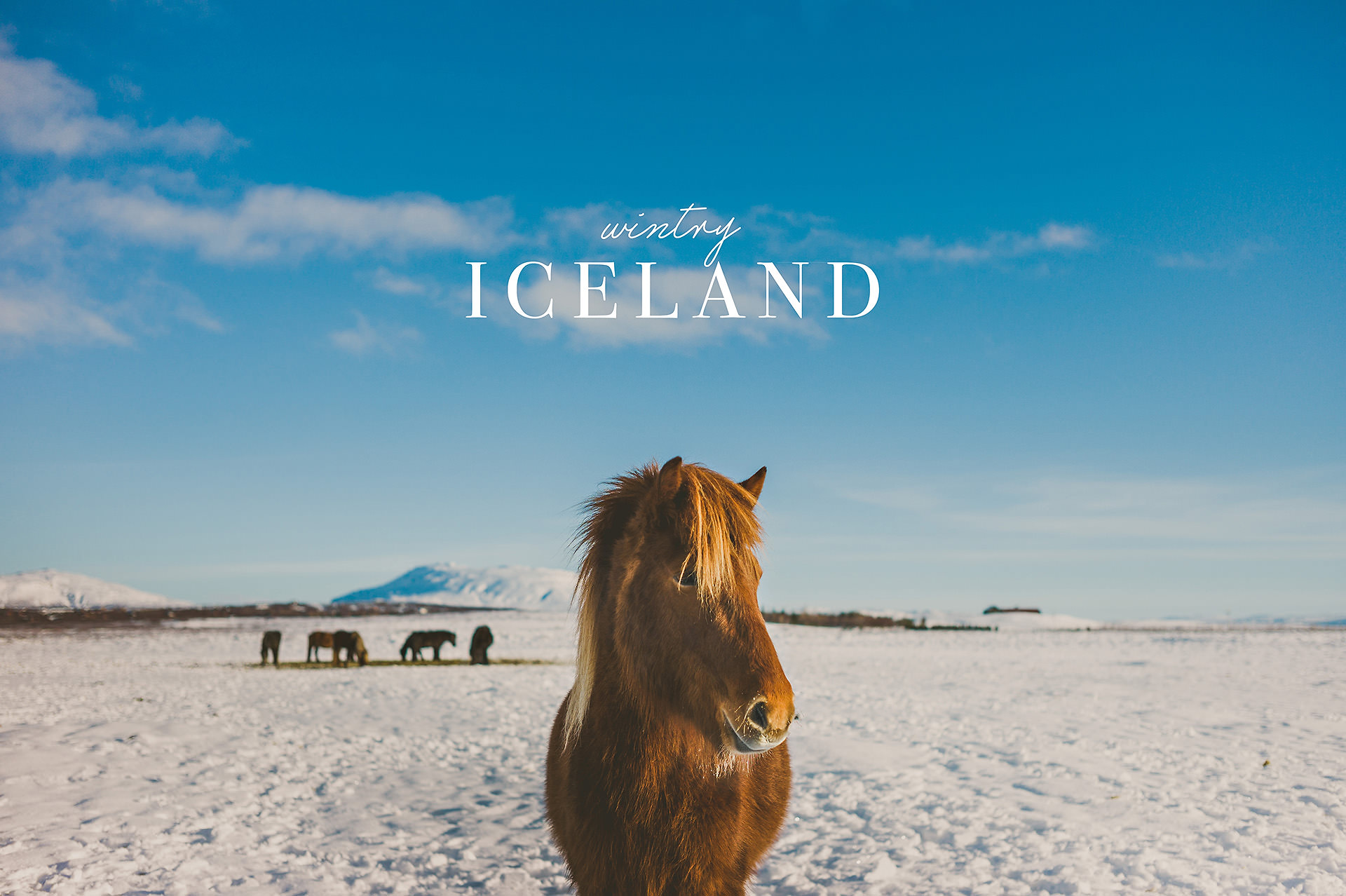 Iceland in Winter | bettysliu.com