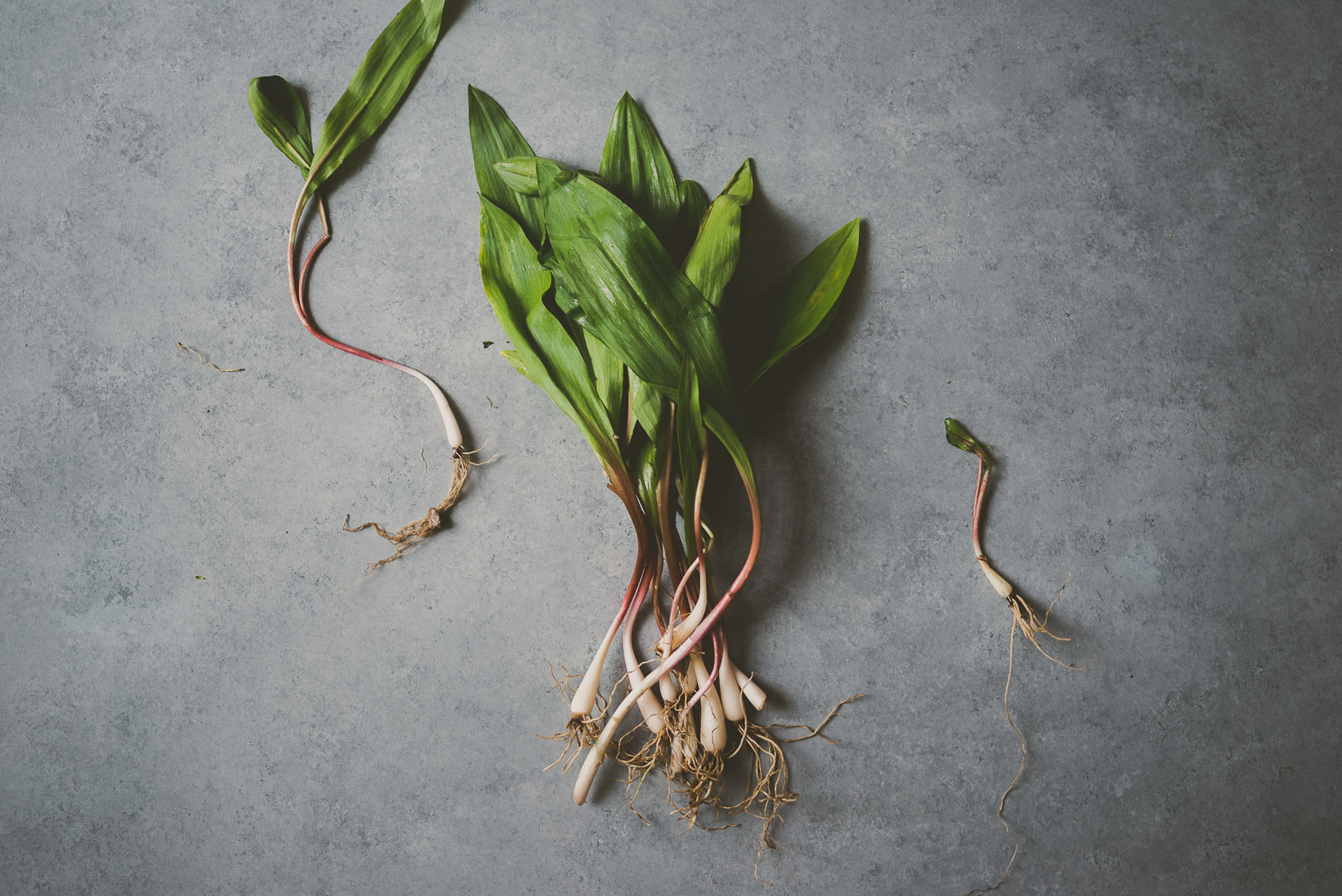 Pickled Ramps, Edamame, Pea and Pearl Barley Bowl 