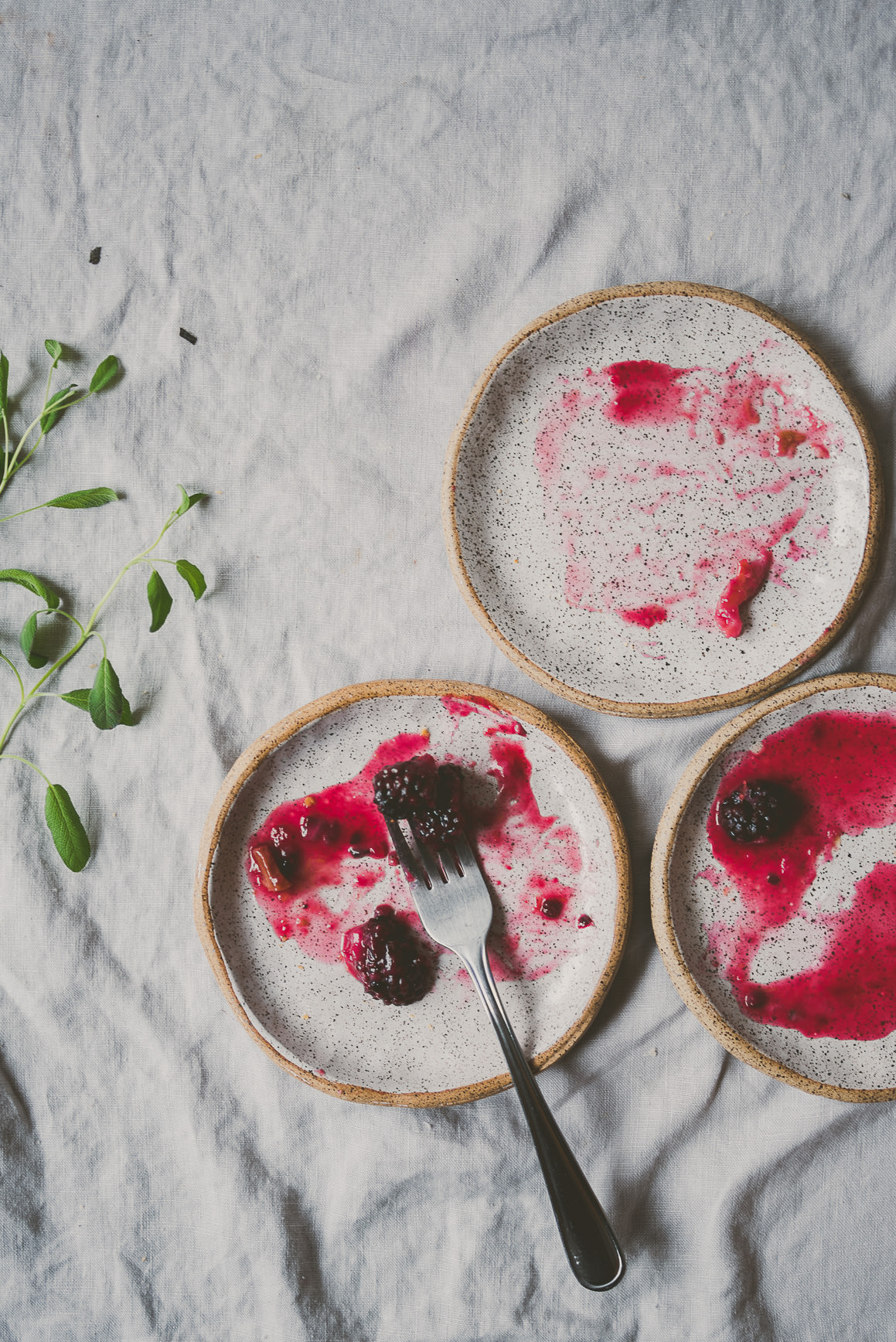 Rhubarb Blackberry Sage Pie | BETTYSLIU.COM