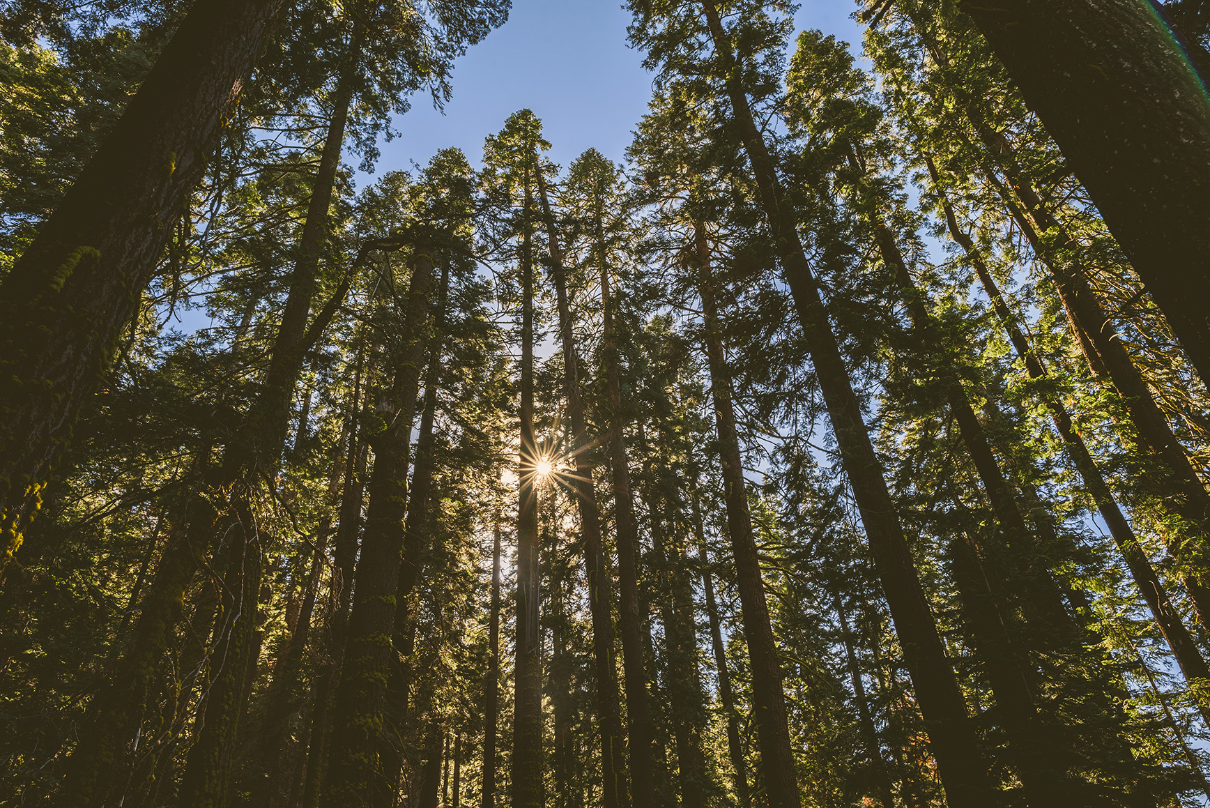 Yosemite National Park Tunnel View Sunrise | bettysliu.com