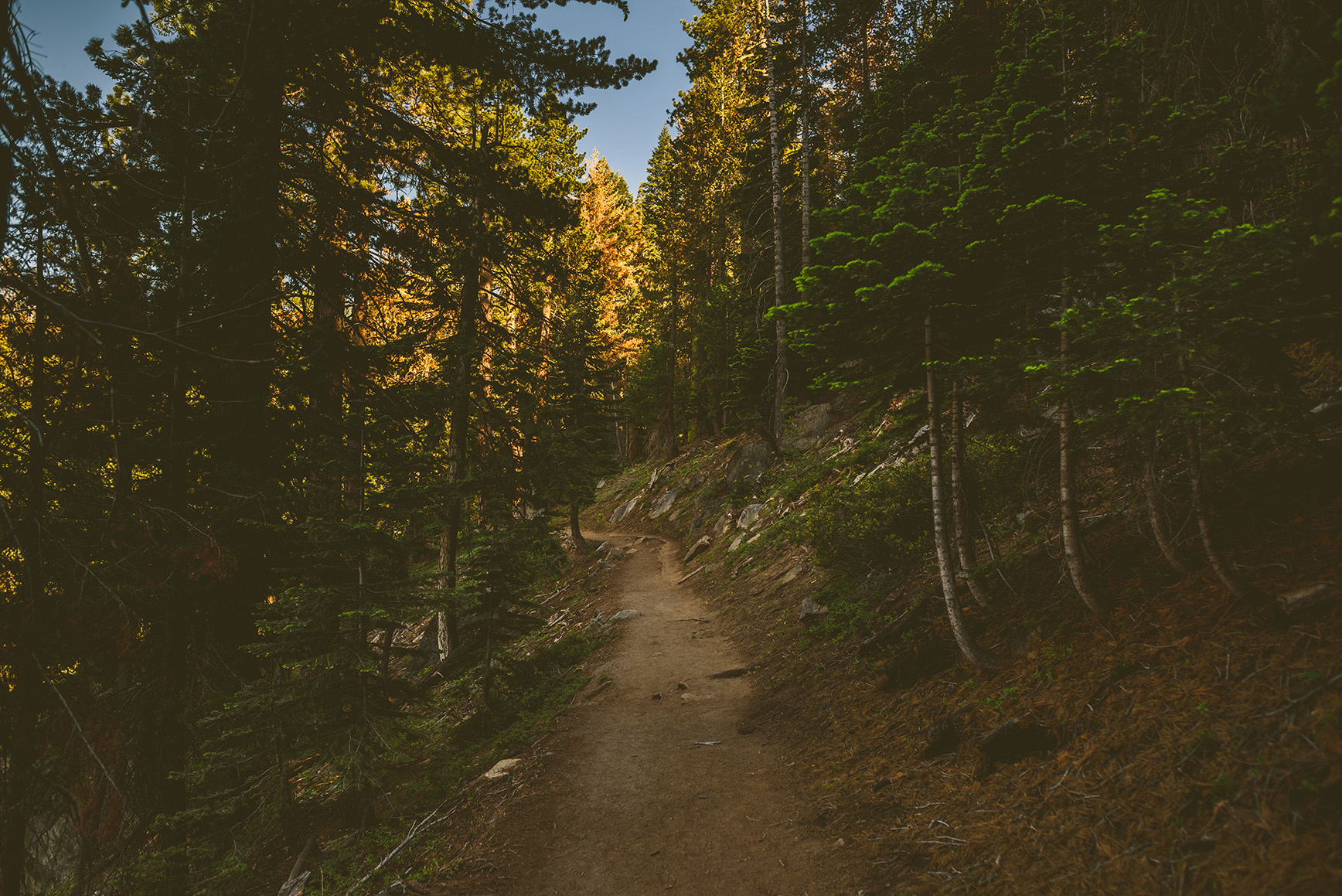 Yosemite National Park Tunnel View Sunrise | bettysliu.com