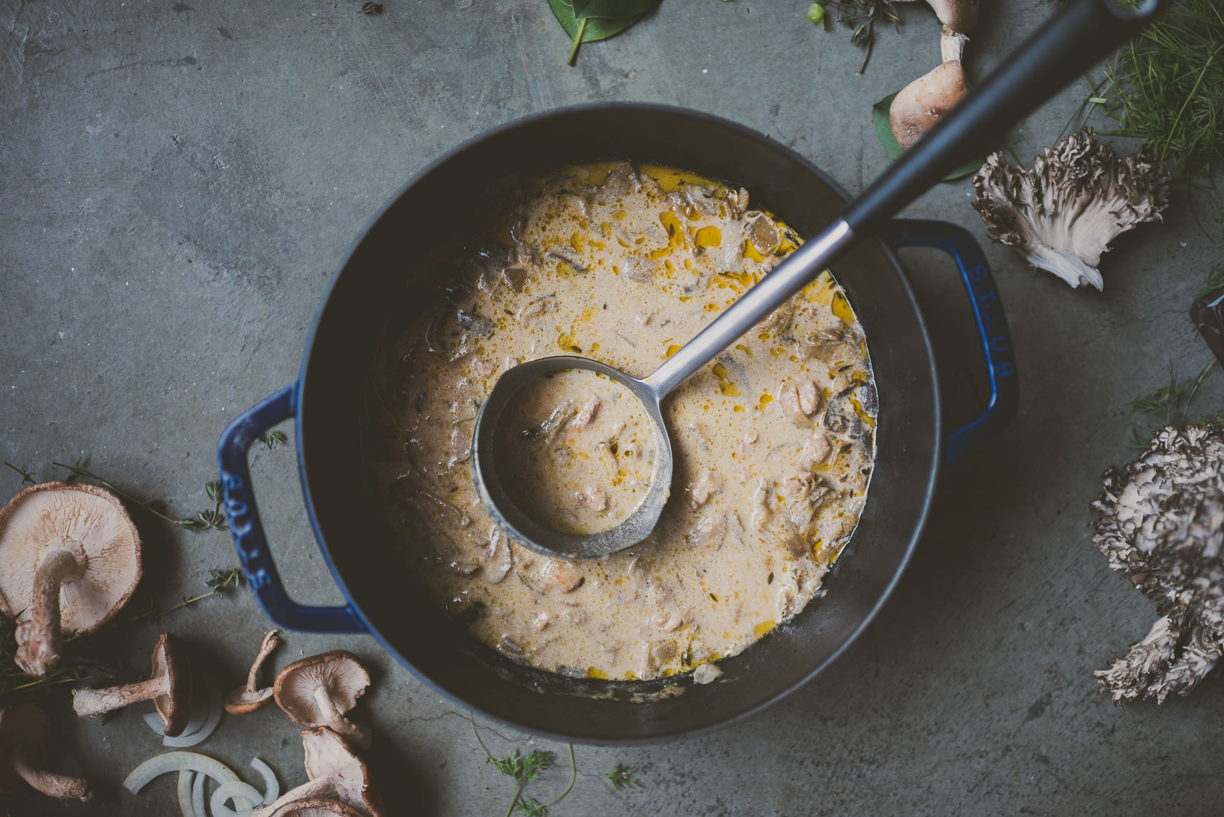 Mushroom Chicken Soup from Adventures in Chicken Cookbook | bettysliu.com