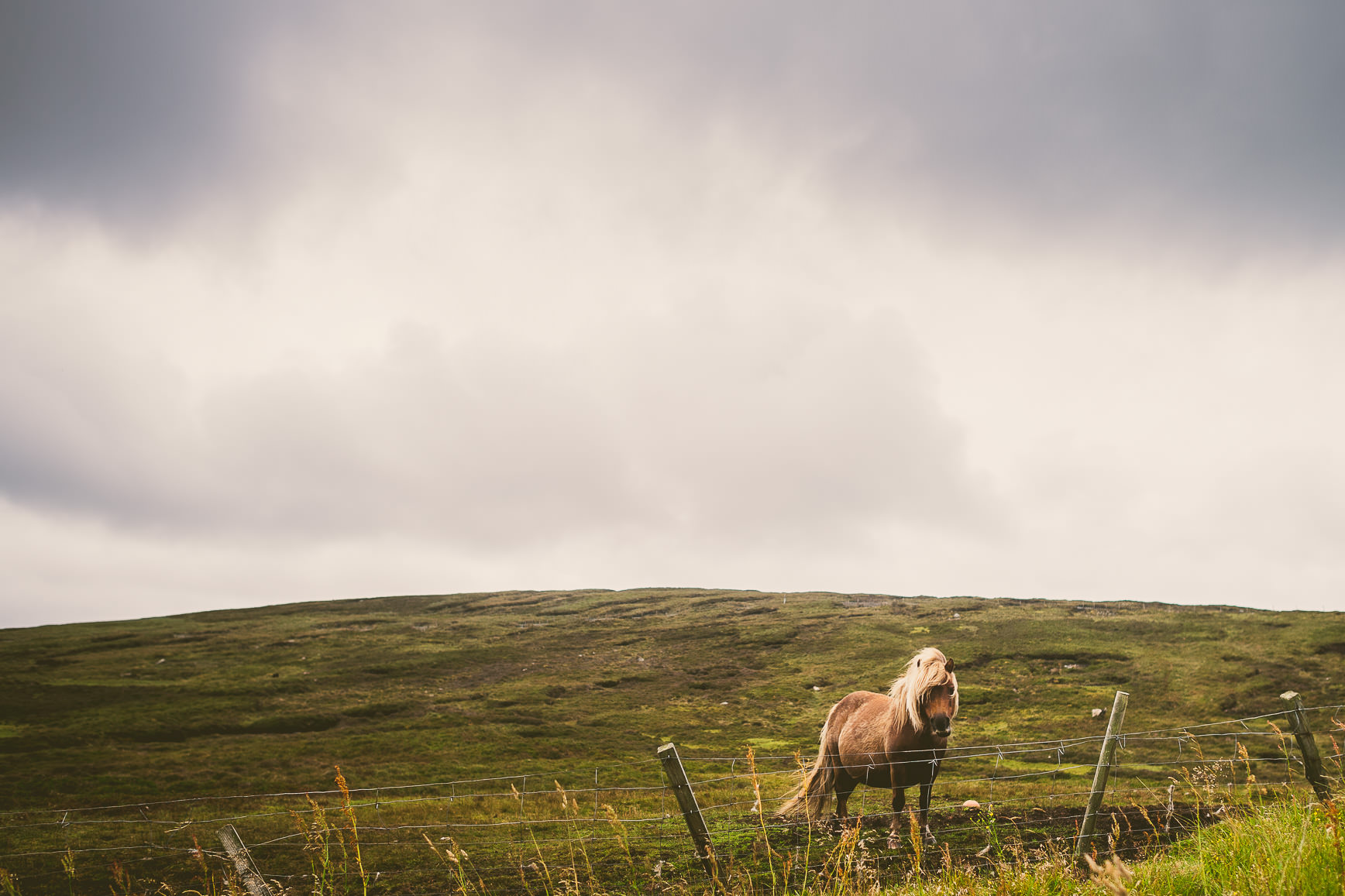 Shetland Islands | bettysliu.com