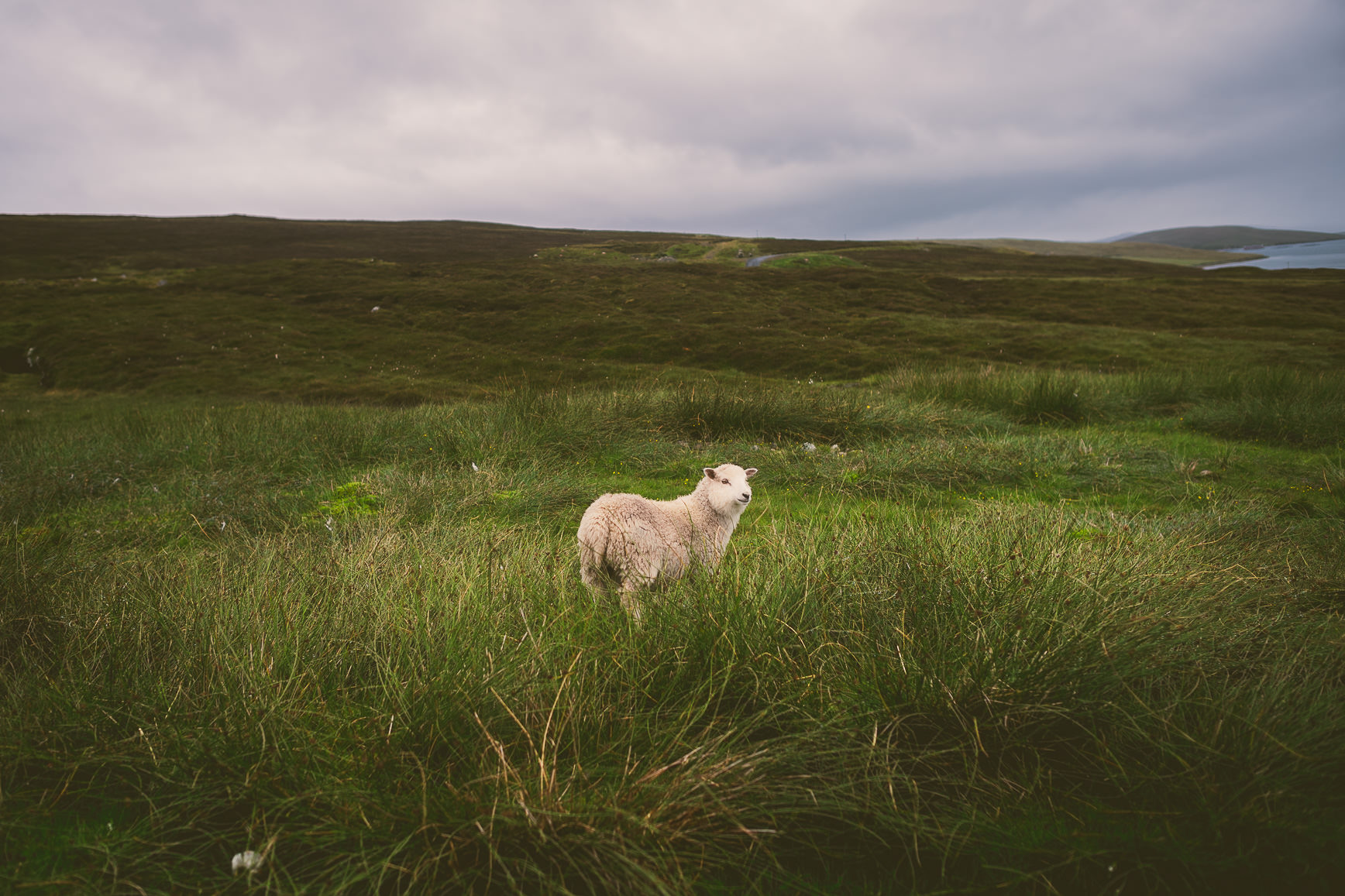 Shetland Islands | bettysliu.com