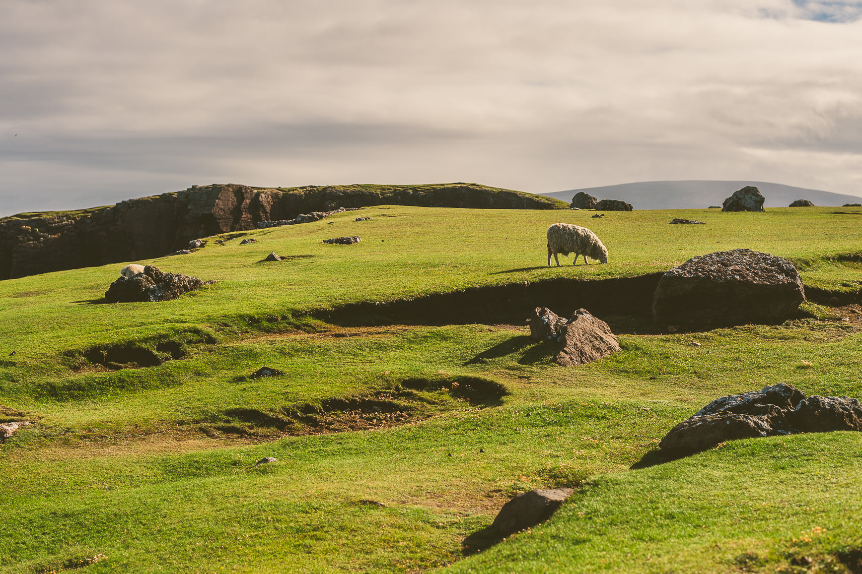 Shetland Island | bettysliu.com