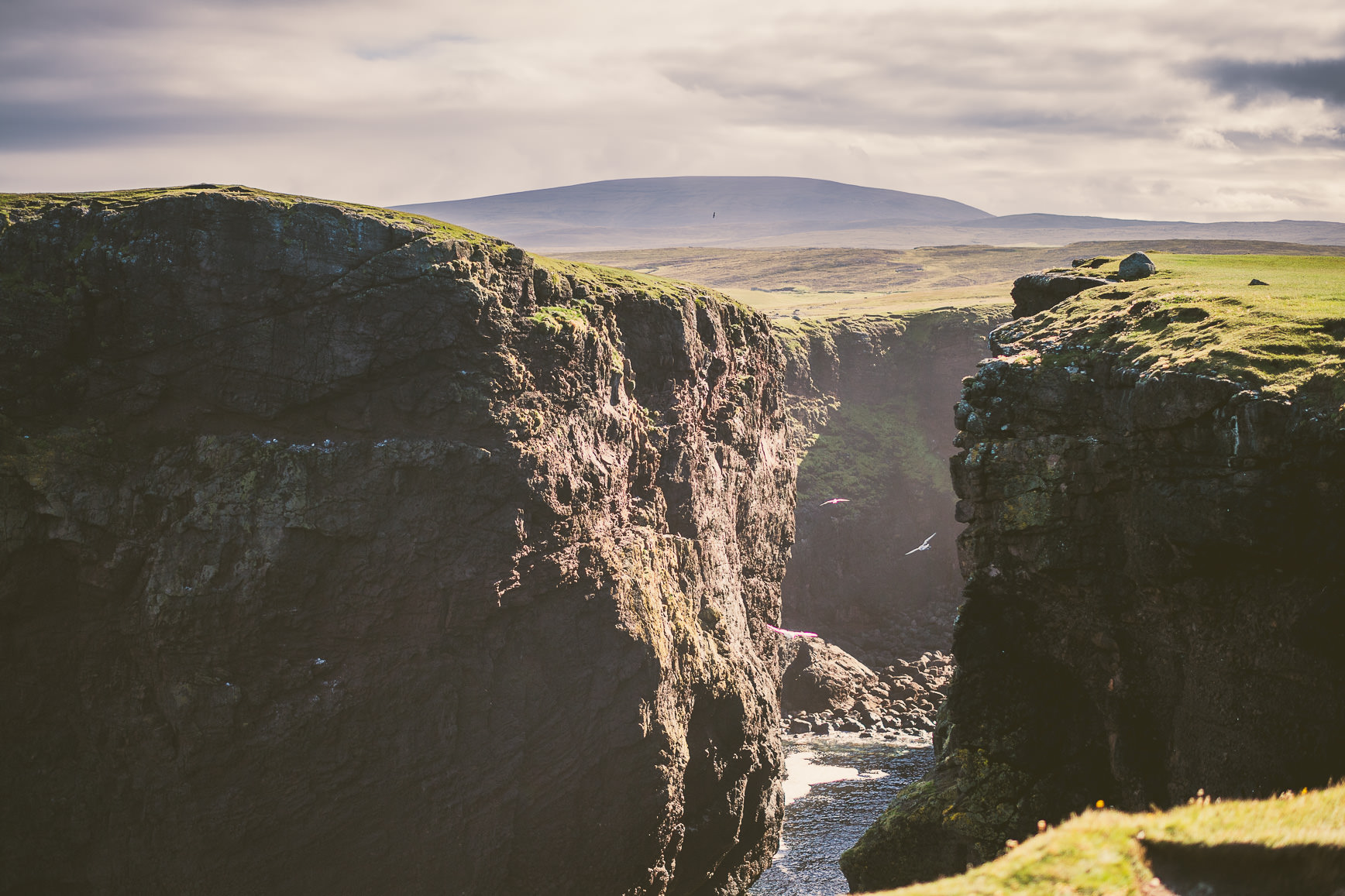 Eshaness Cliff Shetland | bettysliu.com