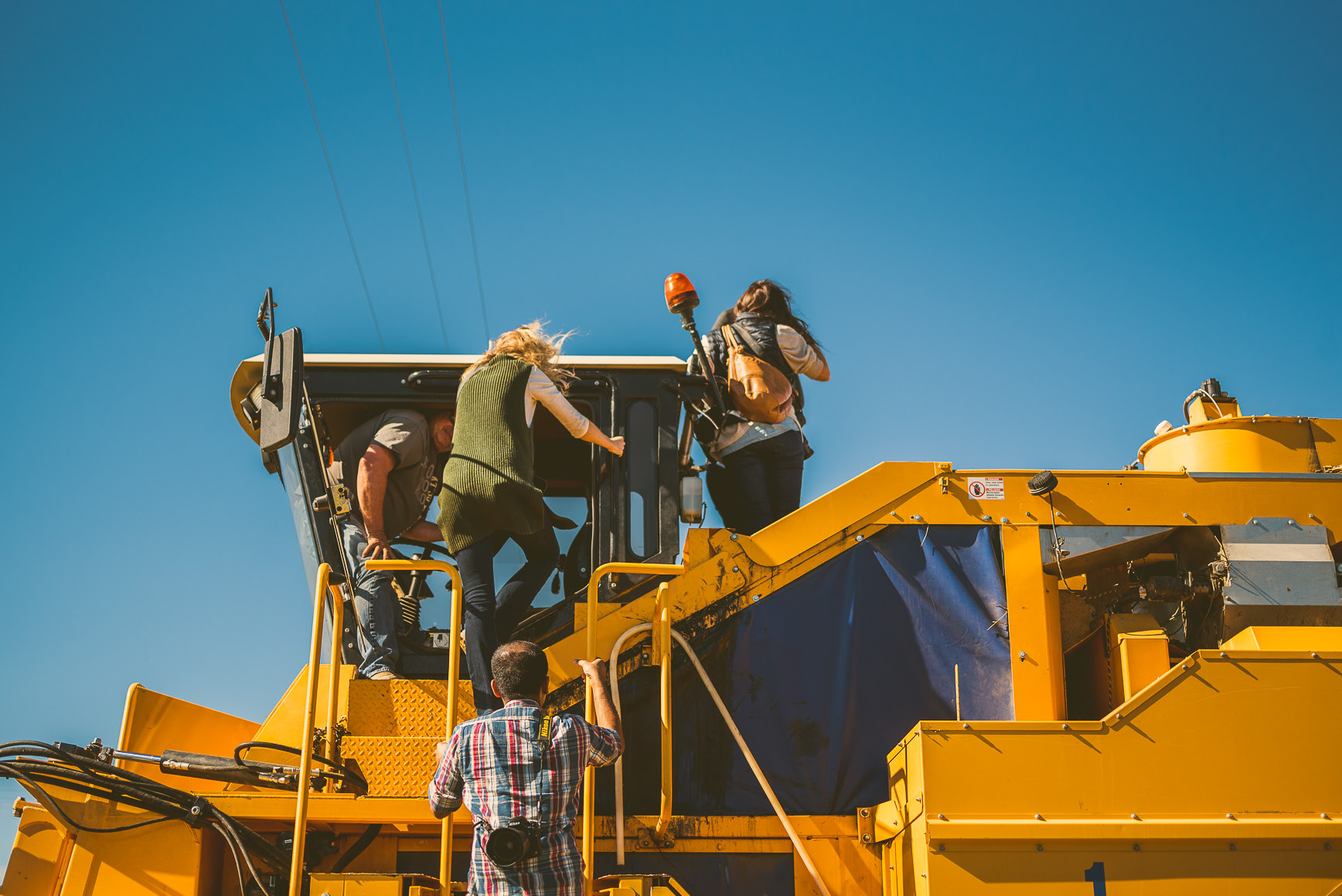 California Olive Oil Harvest Sacramento | bettysliu.com