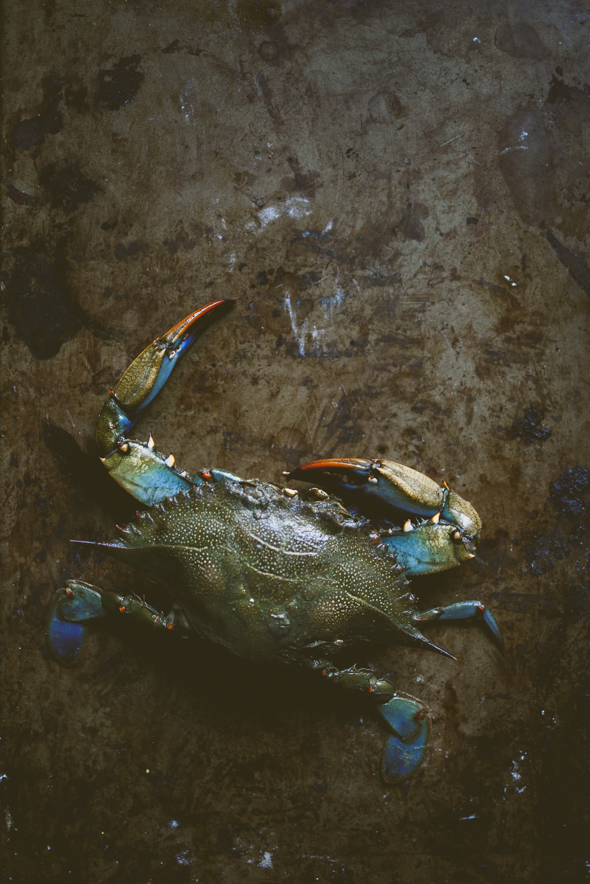 Mom's Crab Sticky Rice for Chinese New Year | bettysliu.com