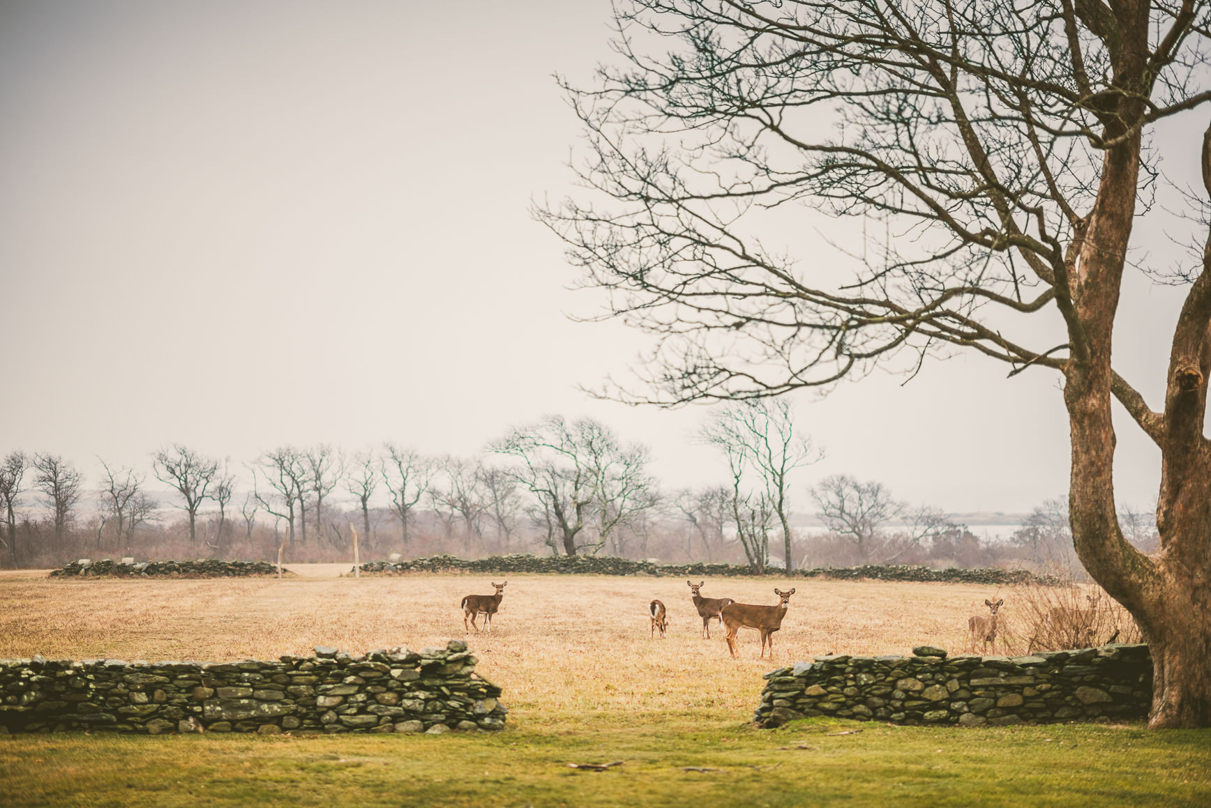 New England Food Photography Styling Workshop Recap 