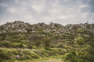Milia Crete Greece Photography Workshop | bettysliu.com