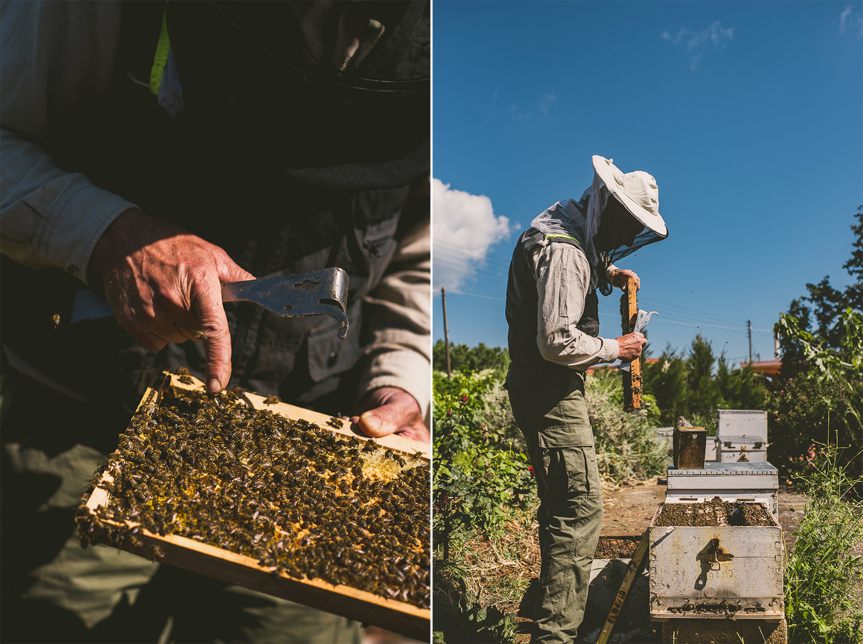 Beekeeping Crete Greece Photography Workshop | bettysliu.com