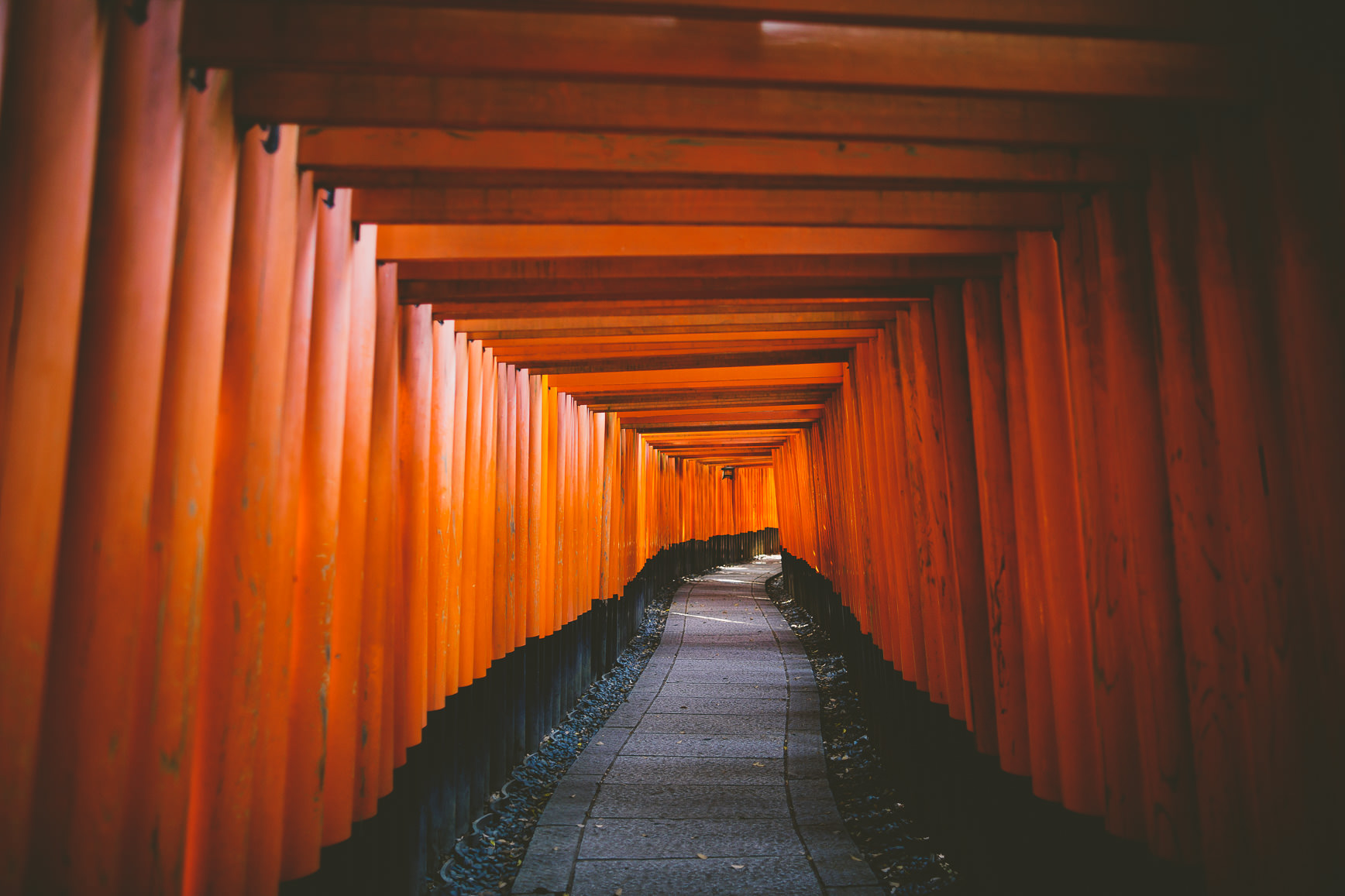 Kyoto - fushimi inari taisha | bettysliu.com