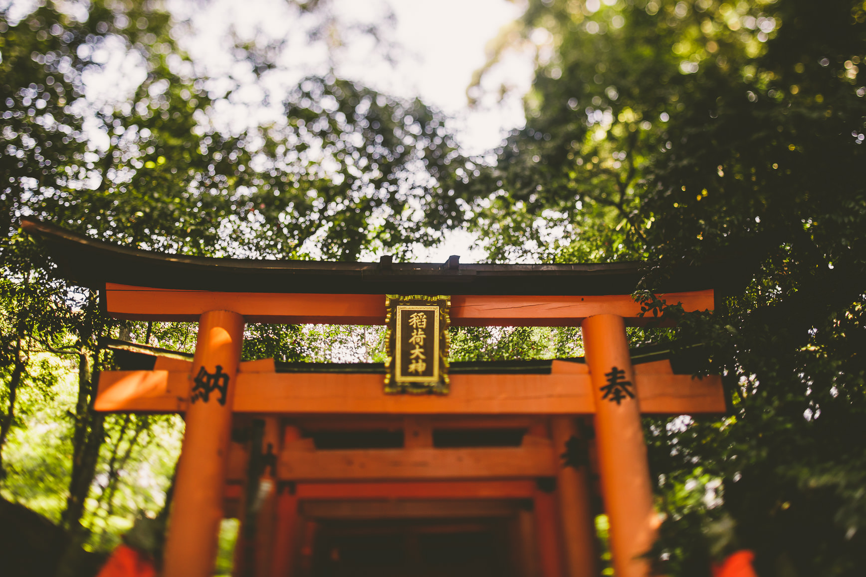 Kyoto + Nara Japan | bettysliu-26