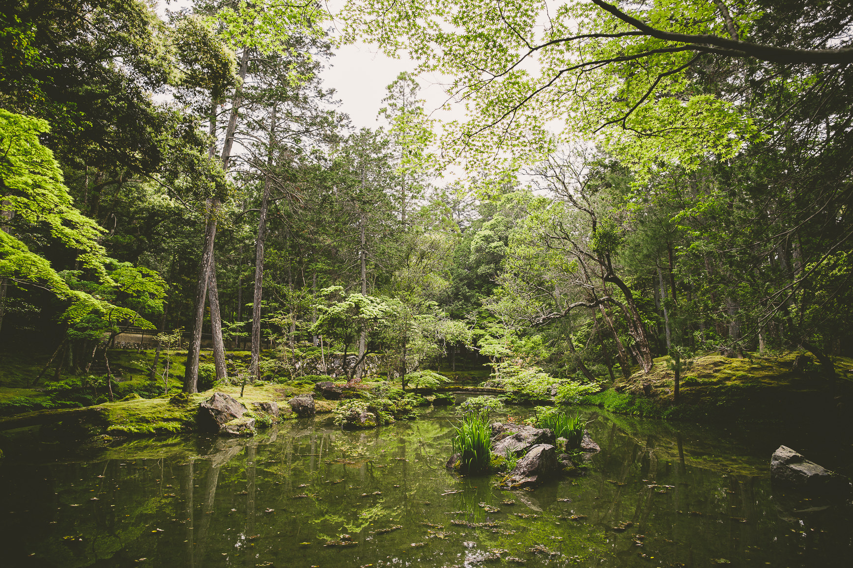 Kyoto + Nara Japan | bettysliu-39