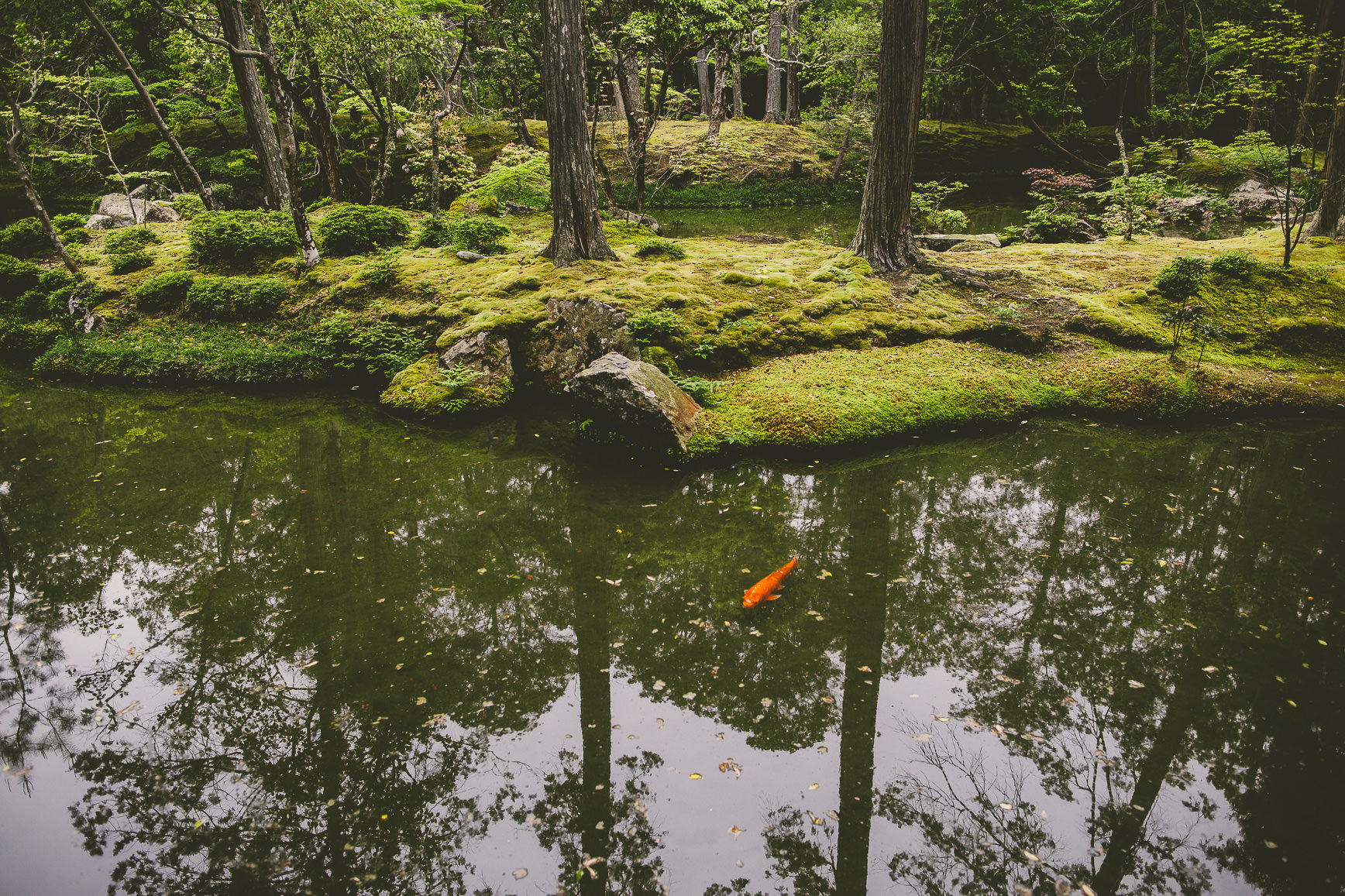 Kyoto + Nara Japan | bettysliu-40