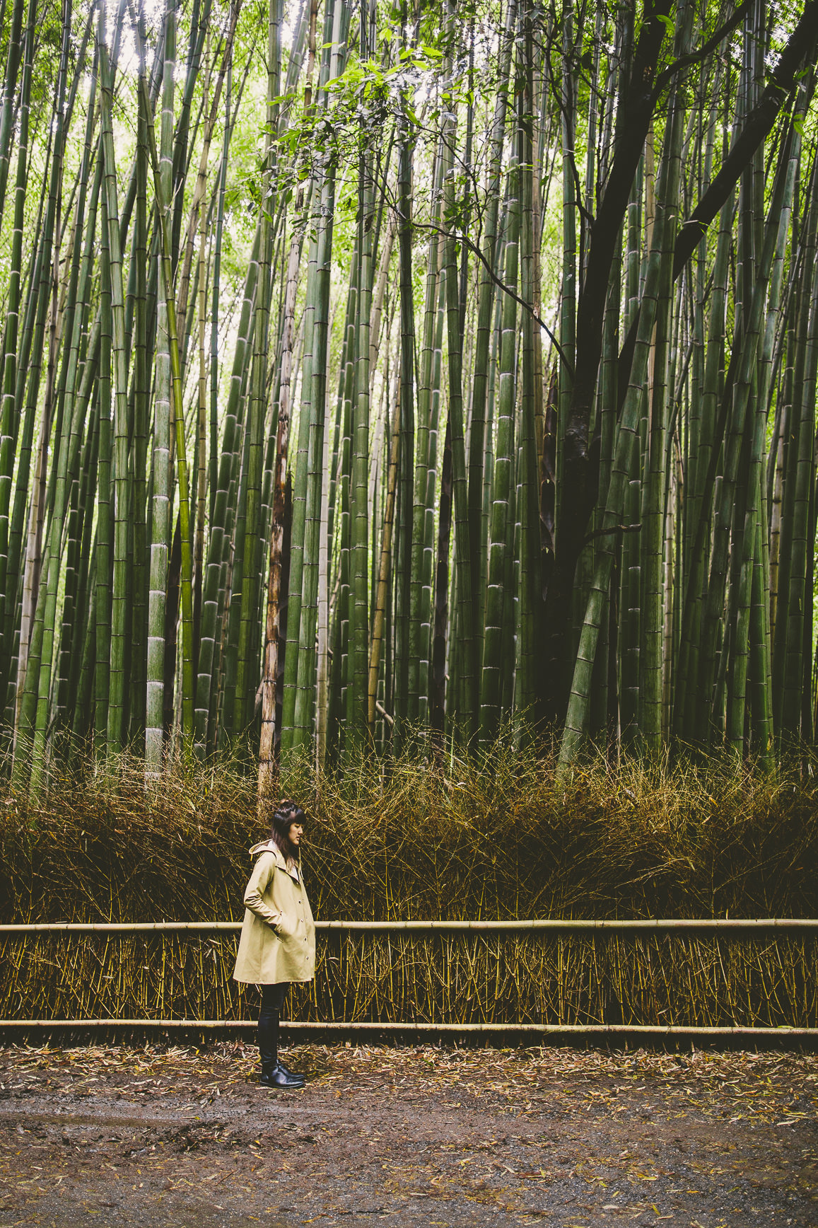 Kyoto + Nara Japan | bettysliu-66