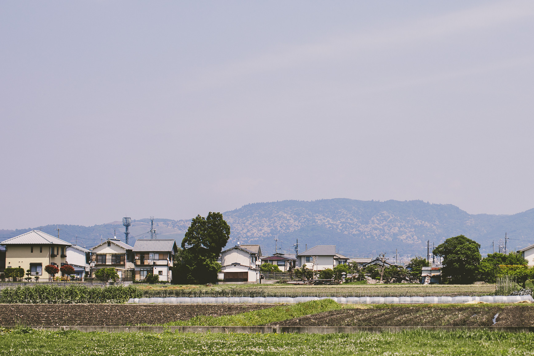 Kyoto + Nara Japan | bettysliu-82